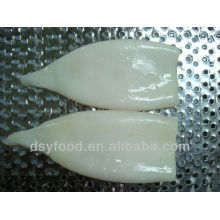 frozen illex squid tube frozen seafood